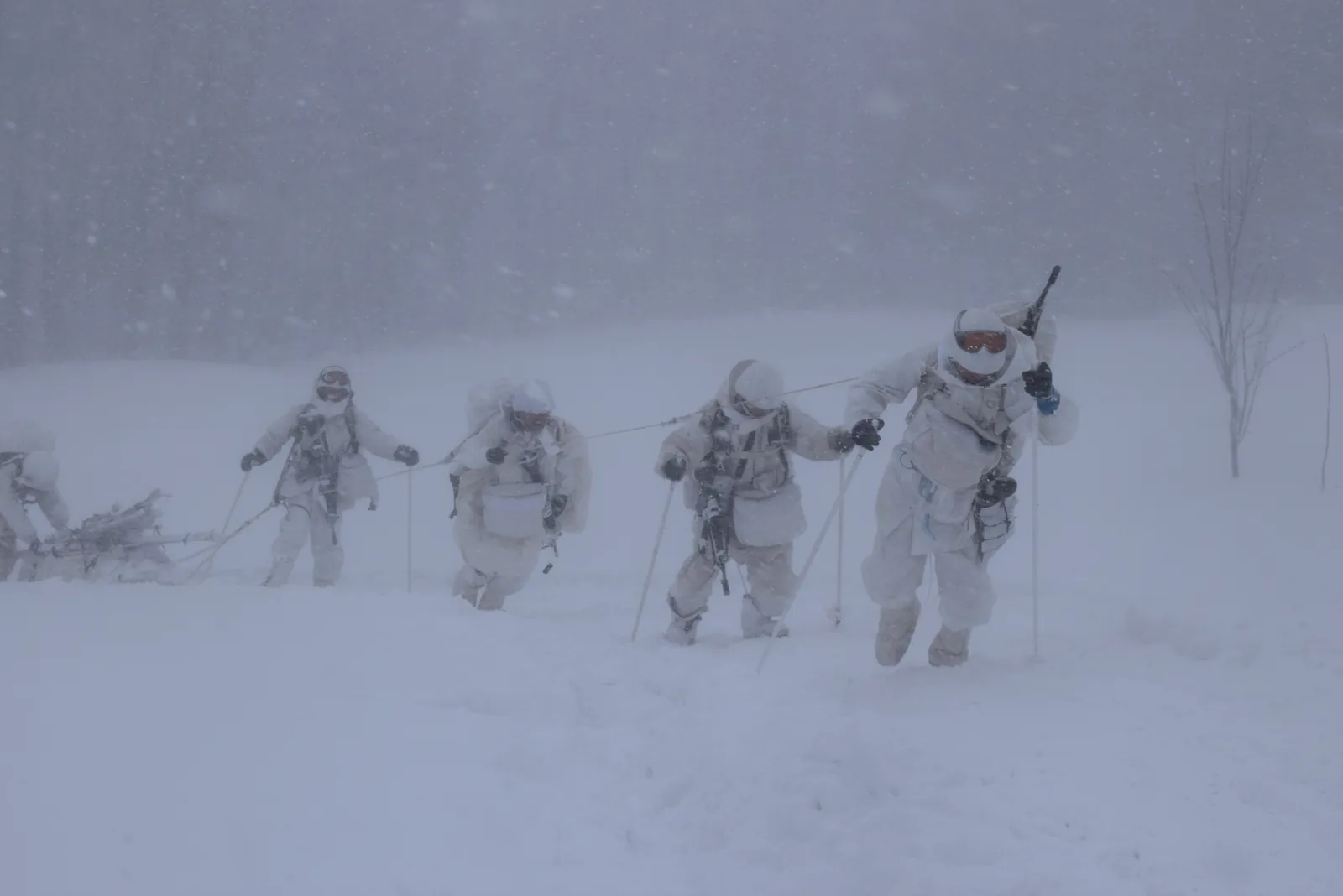 視界不良の吹雪の中をスキーで行進する隊員
